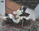 Capi_Dubne_20250721_200502.jpg