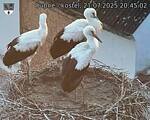 Capi_Dubne_20250721_204502.jpg