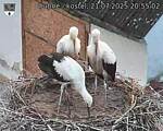 Capi_Dubne_20250721_205502.jpg