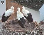 Capi_Dubne_20250721_210002.jpg