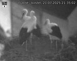 Capi_Dubne_20250721_213502.jpg