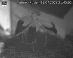 Capi_Dubne_20250721_214502.jpg