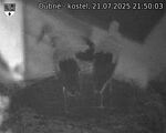 Capi_Dubne_20250721_215003.jpg