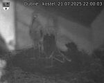 Capi_Dubne_20250721_220003.jpg