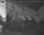 Capi_Dubne_20250721_220503.jpg