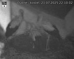 Capi_Dubne_20250721_221002.jpg