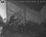 Capi_Dubne_20250721_221503.jpg