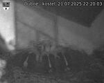Capi_Dubne_20250721_222003.jpg