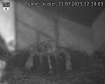 Capi_Dubne_20250721_223003.jpg