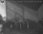 Capi_Dubne_20250721_223502.jpg