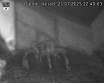 Capi_Dubne_20250721_224003.jpg