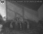 Capi_Dubne_20250721_224502.jpg