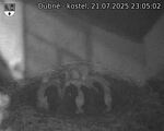 Capi_Dubne_20250721_230502.jpg