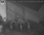 Capi_Dubne_20250721_231003.jpg