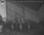 Capi_Dubne_20250721_231502.jpg
