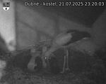Capi_Dubne_20250721_232003.jpg