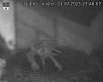 Capi_Dubne_20250721_234002.jpg
