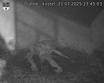 Capi_Dubne_20250721_234503.jpg