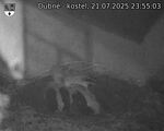 Capi_Dubne_20250721_235503.jpg