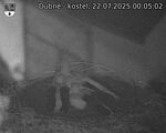 Capi_Dubne_20250722_000502.jpg