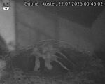 Capi_Dubne_20250722_004502.jpg