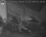 Capi_Dubne_20250722_011002.jpg