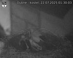 Capi_Dubne_20250722_013003.jpg