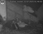Capi_Dubne_20250722_014002.jpg