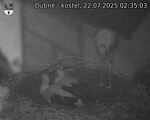 Capi_Dubne_20250722_023503.jpg