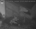 Capi_Dubne_20250722_024503.jpg