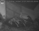 Capi_Dubne_20250722_032002.jpg