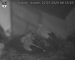 Capi_Dubne_20250722_041503.jpg