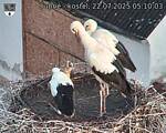 Capi_Dubne_20250722_051003.jpg