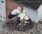 Capi_Dubne_20250722_070003.jpg
