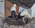 Capi_Dubne_20250722_074002.jpg