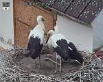 Capi_Dubne_20250722_134002.jpg