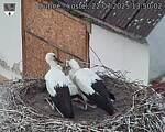 Capi_Dubne_20250722_135002.jpg