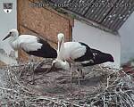 Capi_Dubne_20250722_152003.jpg