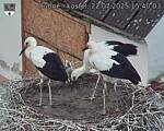 Capi_Dubne_20250722_154003.jpg