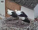 Capi_Dubne_20250722_154502.jpg