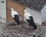 Capi_Dubne_20250722_155003.jpg