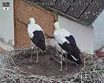 Capi_Dubne_20250722_155502.jpg
