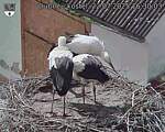 Capi_Dubne_20250722_163003.jpg
