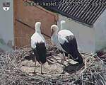 Capi_Dubne_20250722_170002.jpg