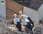 Capi_Dubne_20250722_171503.jpg