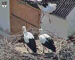 Capi_Dubne_20250722_172002.jpg