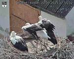 Capi_Dubne_20250722_175502.jpg