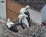 Capi_Dubne_20250722_180002.jpg