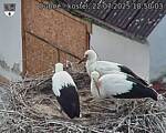Capi_Dubne_20250722_185003.jpg