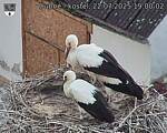 Capi_Dubne_20250722_190002.jpg